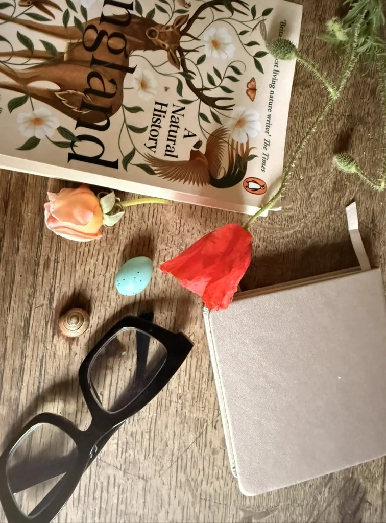 An editorial still life with books, glasses, and a red flower